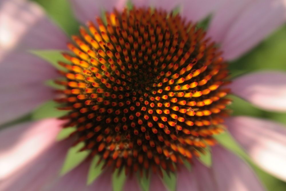 Photograph by Антон Иванов