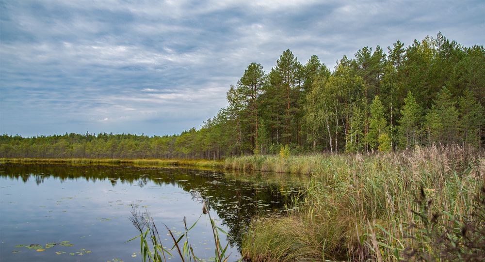 Photograph by Viktor Lazarev