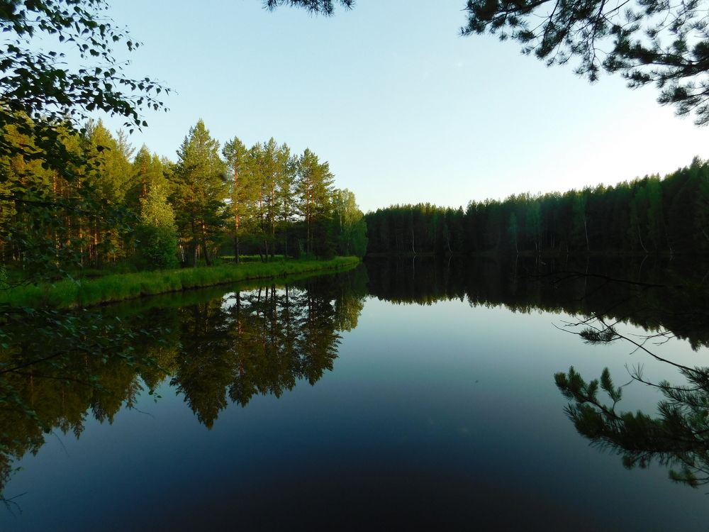 Photograph by Чкареули Светлана