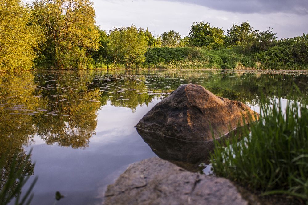 Photograph by Александр Фролов