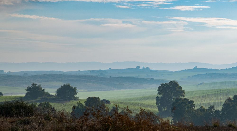 Фотография автора Анатолий