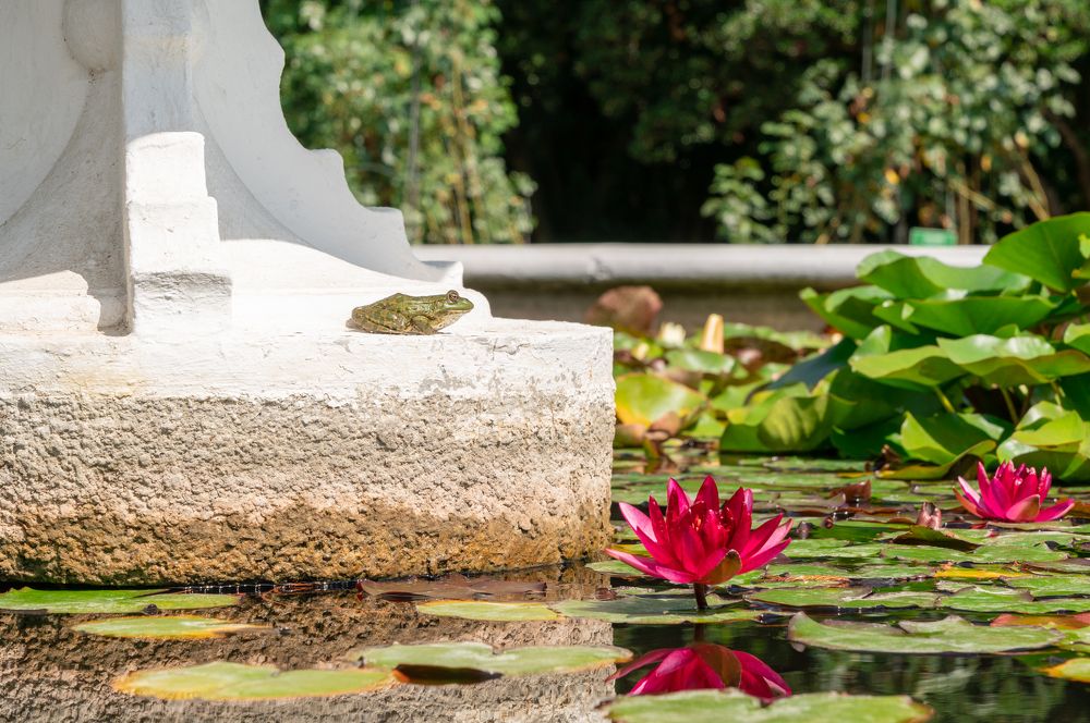 Photograph by Андрей Валерьевич