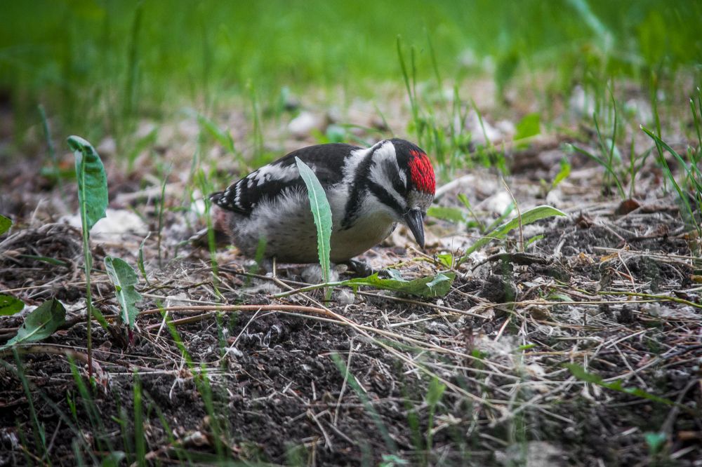 Photograph by Макс