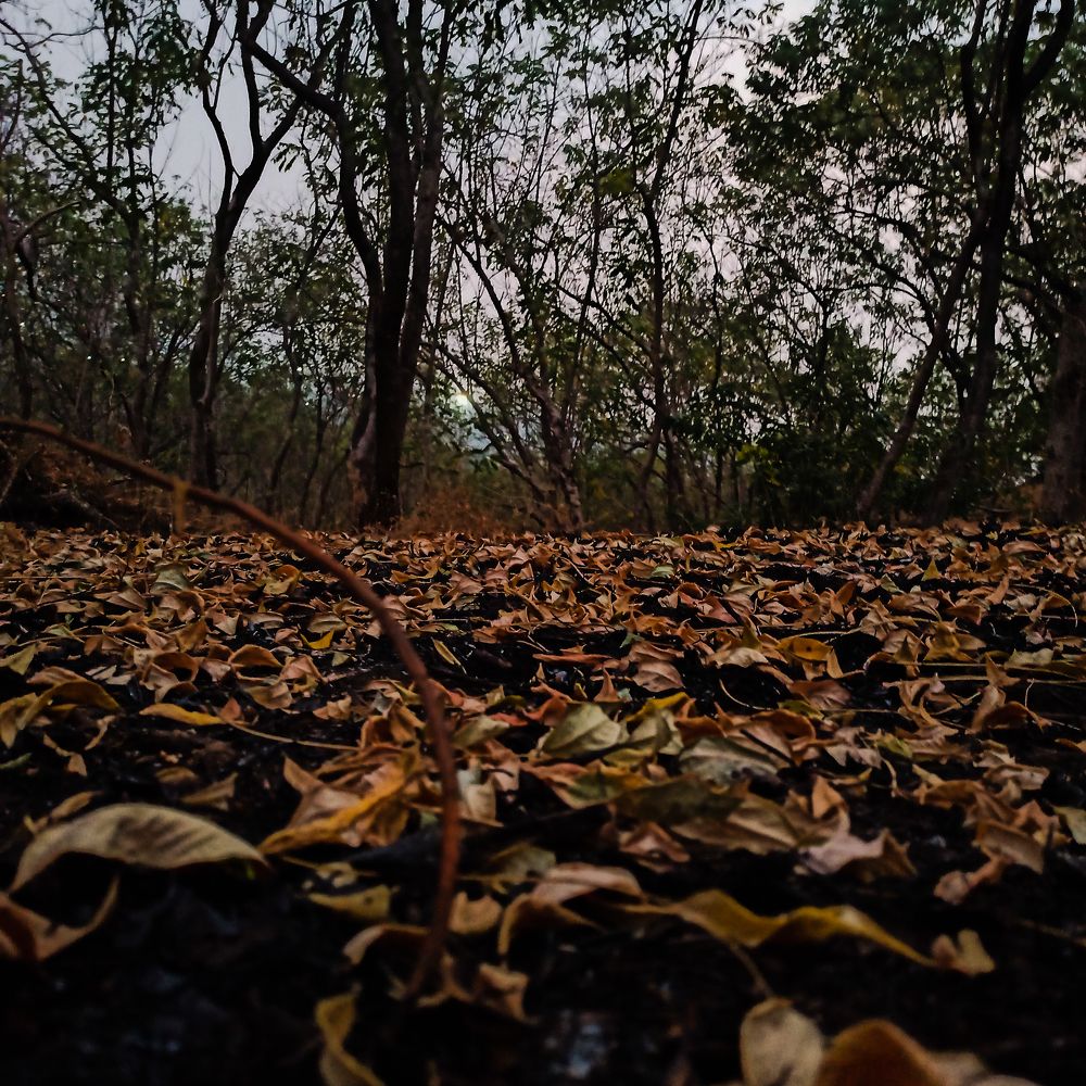 Photograph by Vedant Kalore