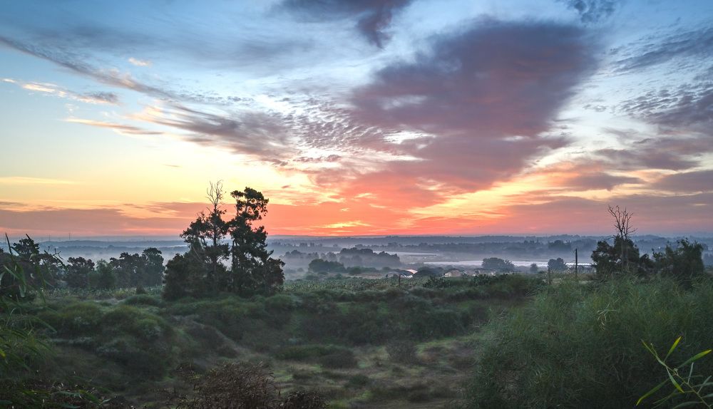 Фотография автора Анатолий
