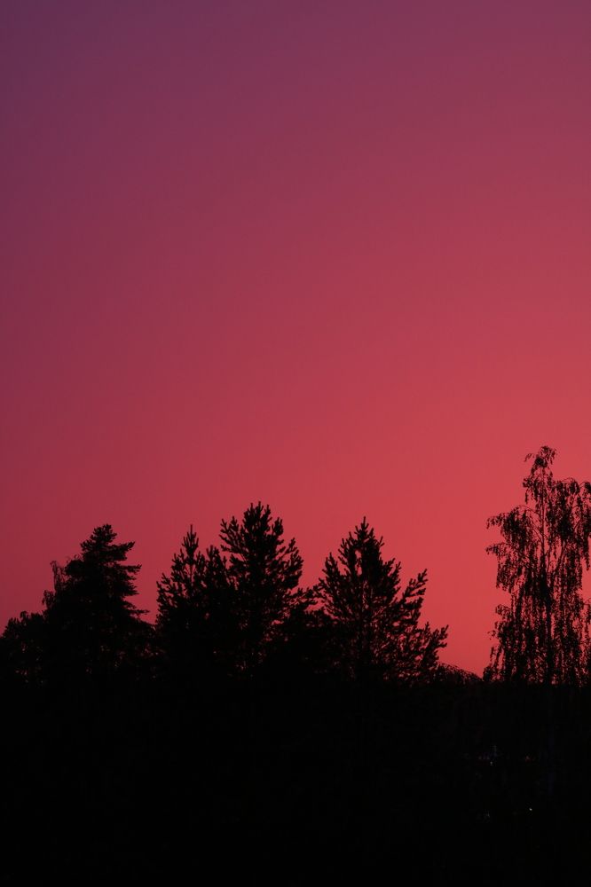 Photograph by Семён Махмутов