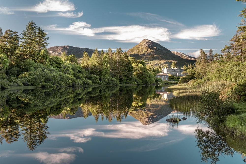 Trees In The Water Mirror