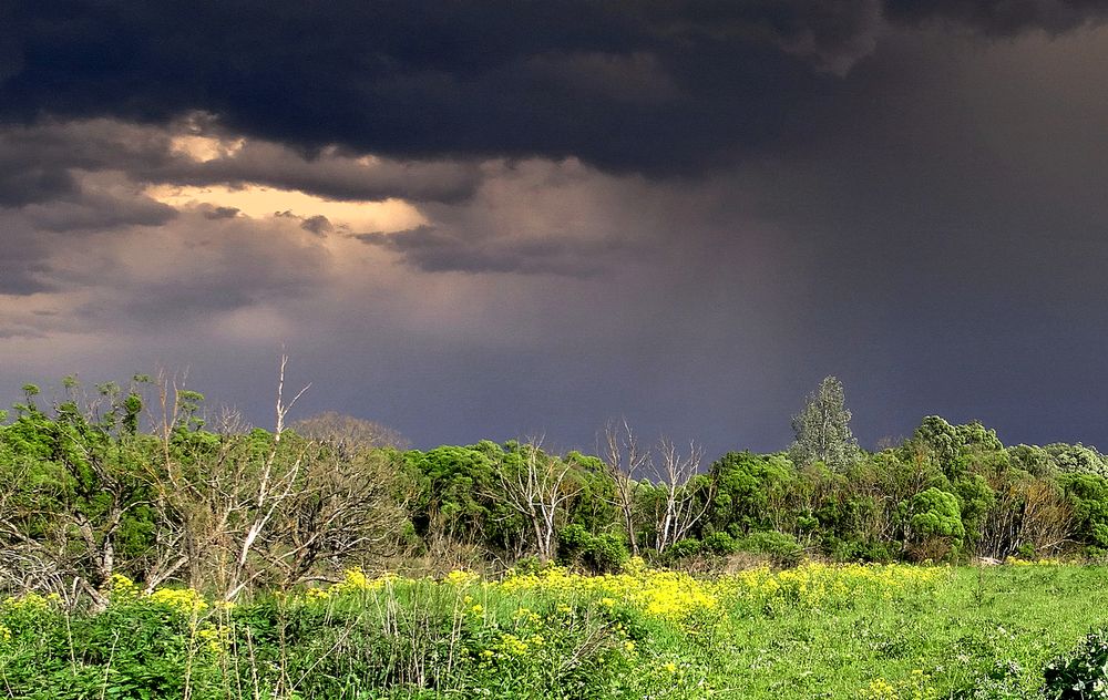 Ураган с солнечным просветом
