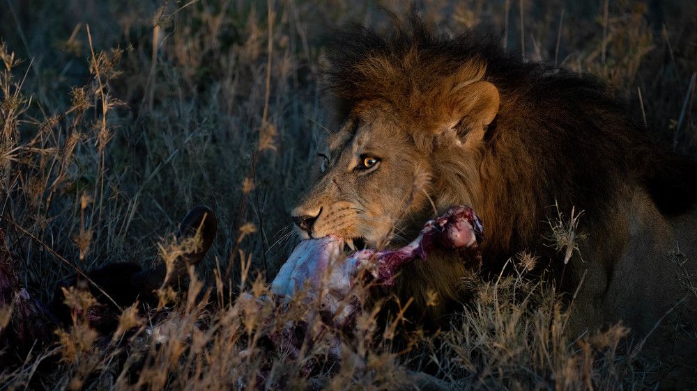 Photograph by Николай Мозгунов