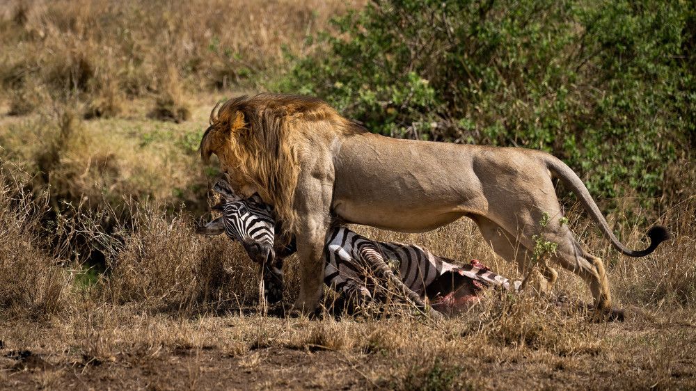 Photograph by Николай Мозгунов