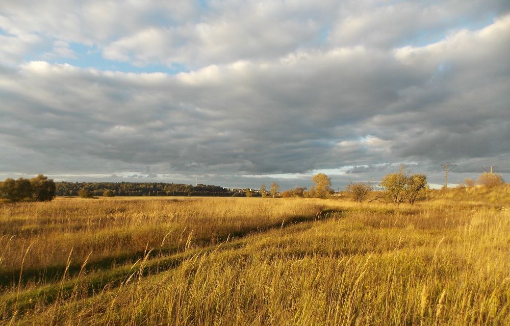 Photograph by Alleksandra