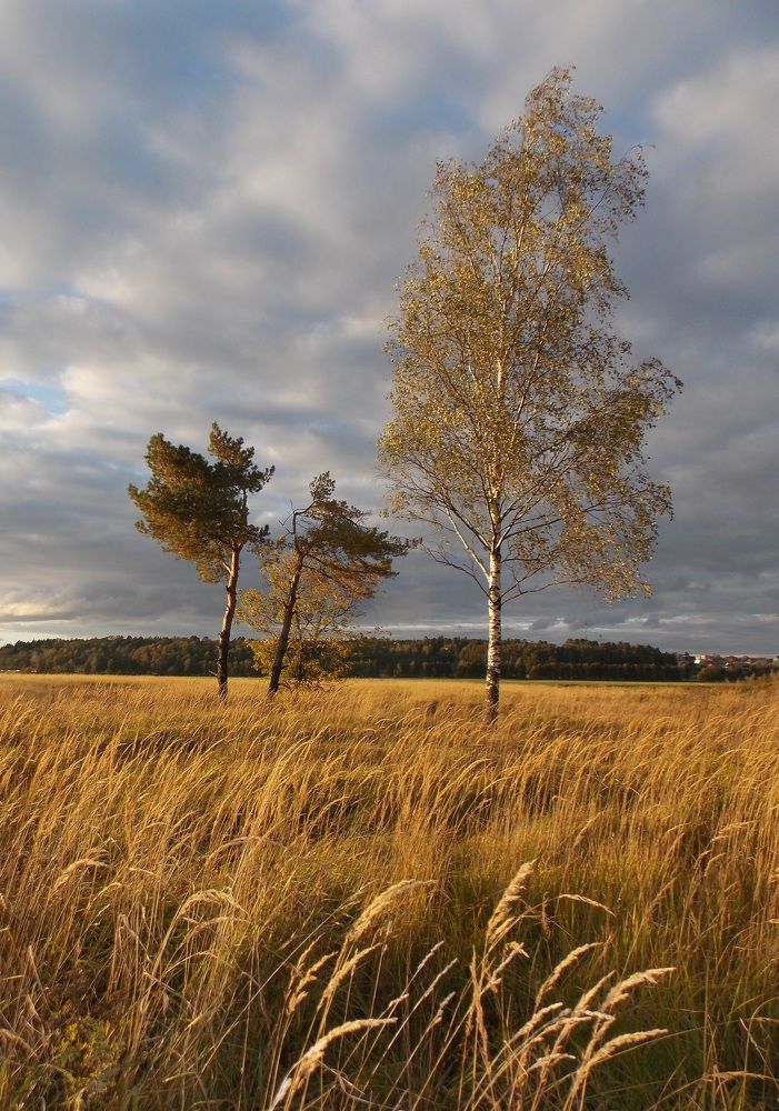 Photograph by Alleksandra