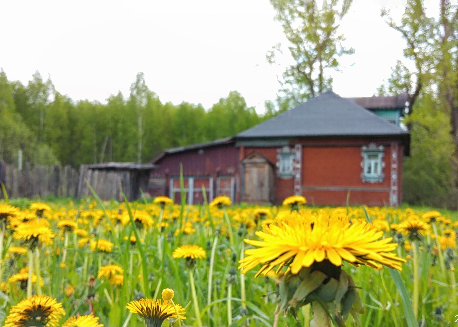 Photo #8466741