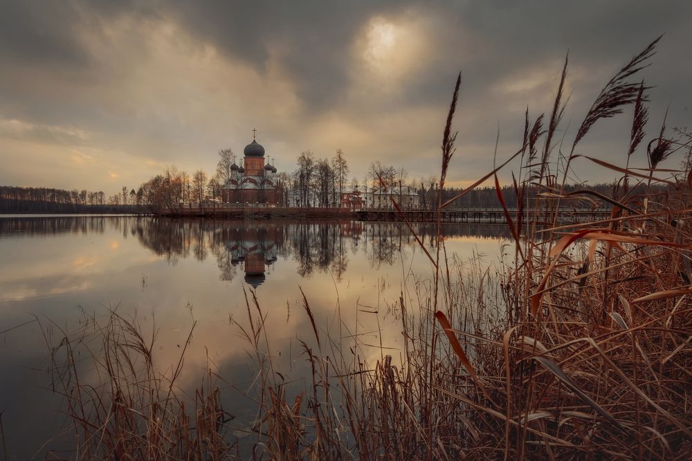 Фотография автора Julia Shepeleva