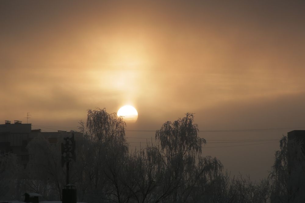 Фотография автора Алёна Сухарева