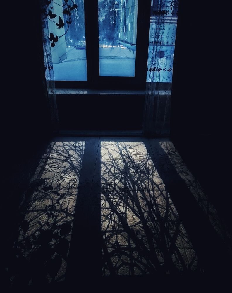 Photograph by Елена Дегтяренко