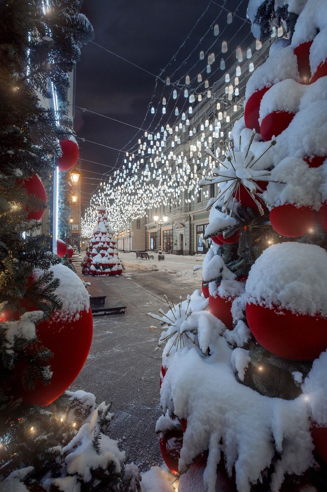 Фотография автора Julia Shepeleva