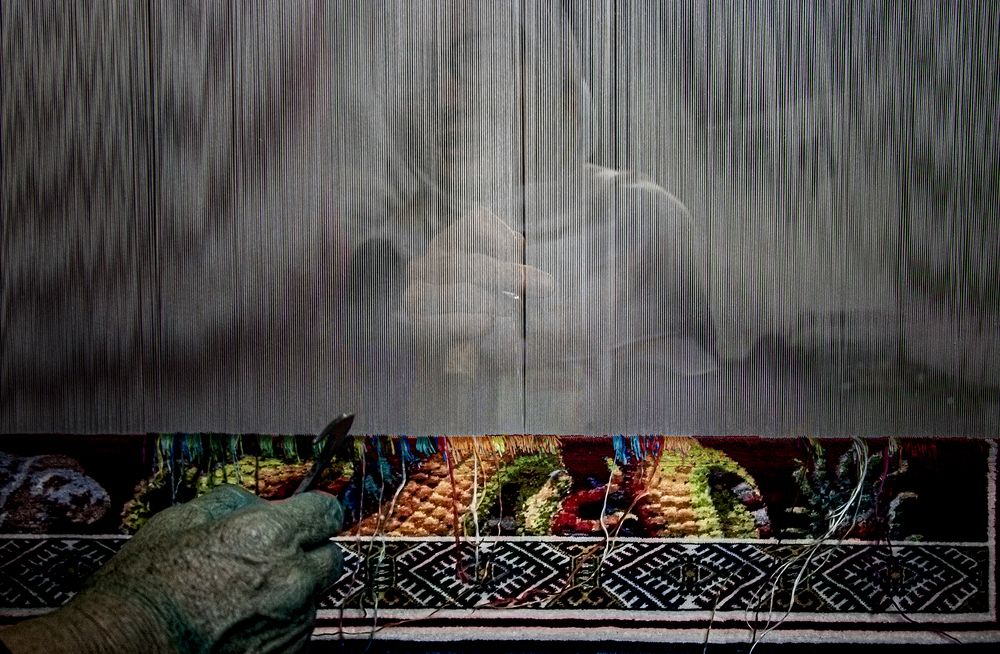 Photograph by Mahdi vagahri shorche