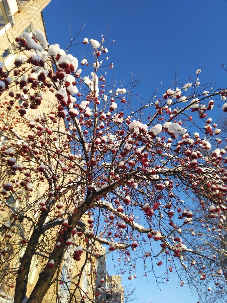 Photograph by Наталья Шулятина