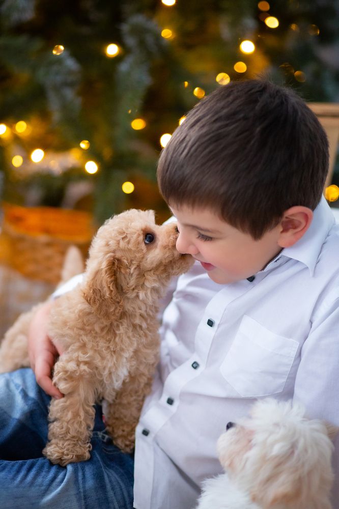 Photograph by Sveta Suvorova