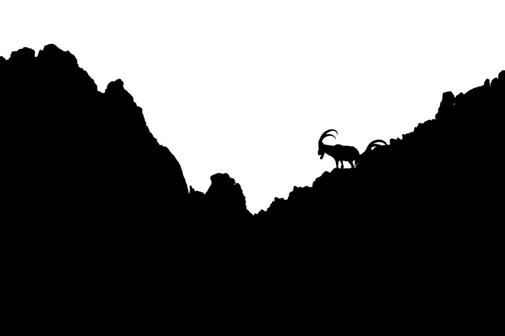 Photograph by Алексей Мараховец