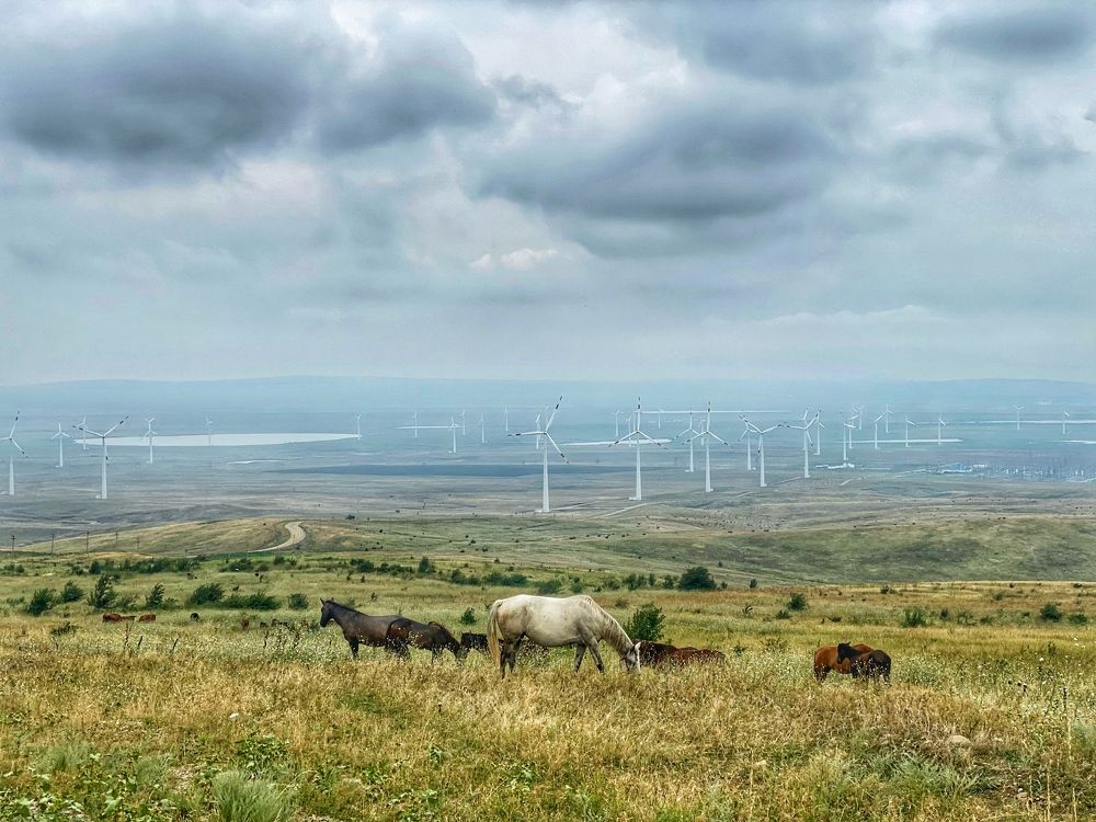 Photograph by Черняк Светлана