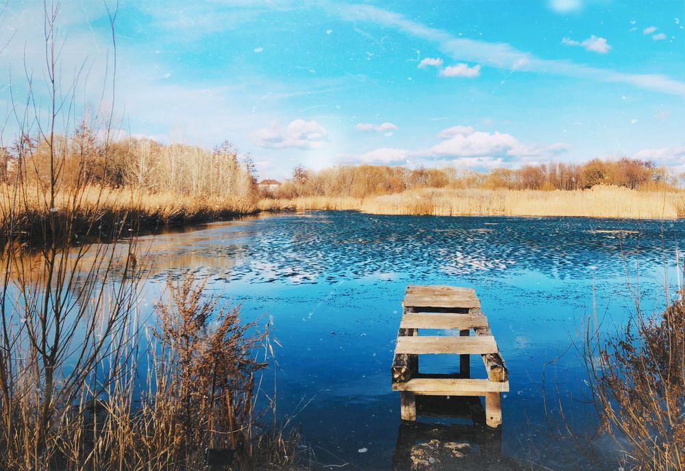 Photograph by Алиса Крумина