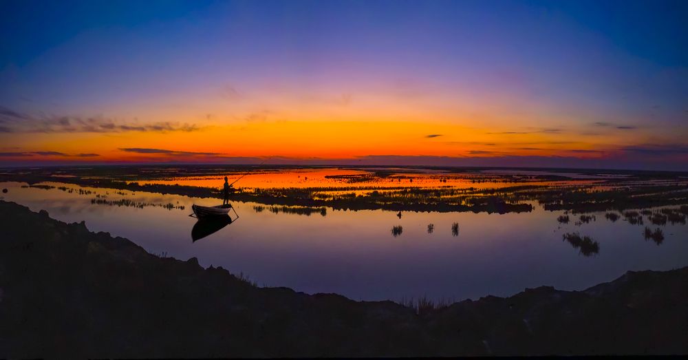 Фотография автора majid arab