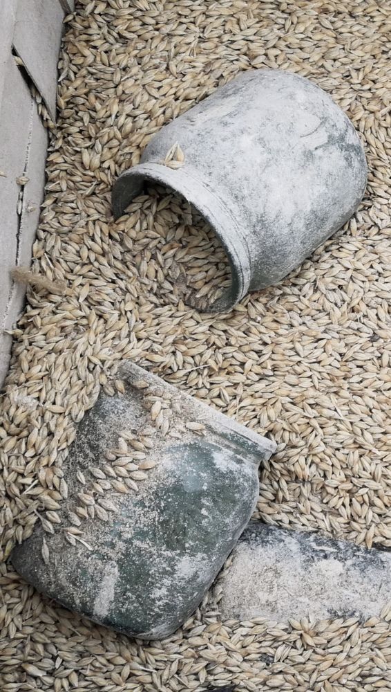 Photograph by Наталья Шалкевич