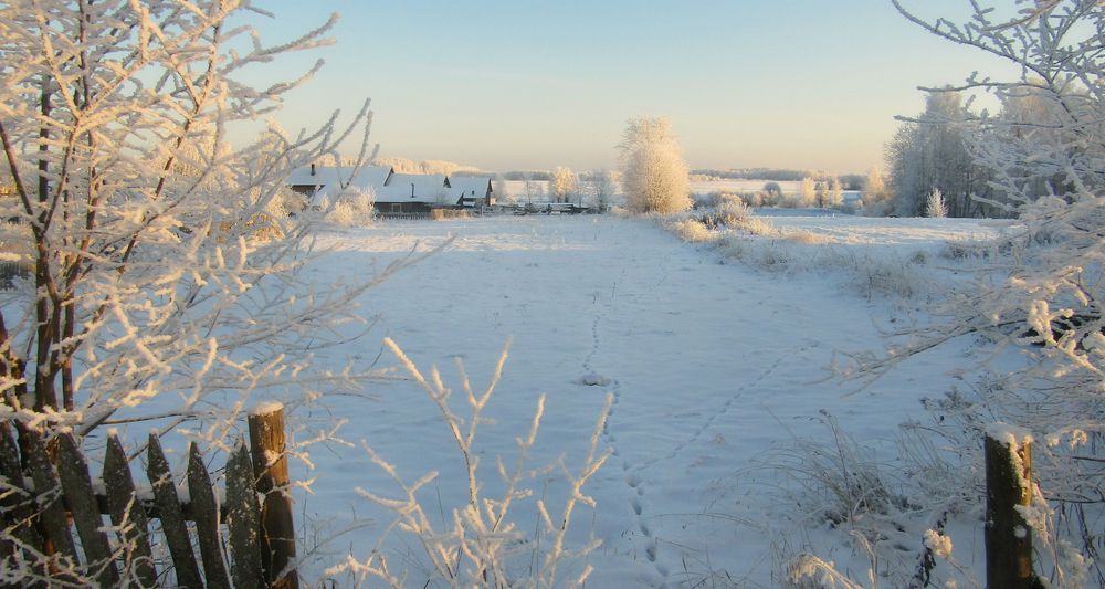 Зимушка-зима