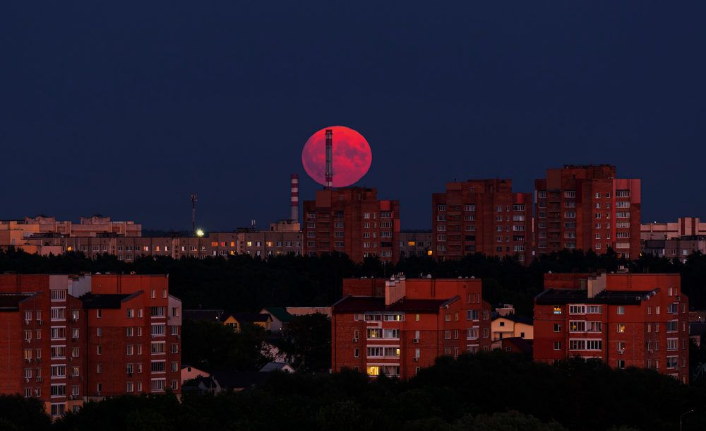 Photograph by Диана Бородзе