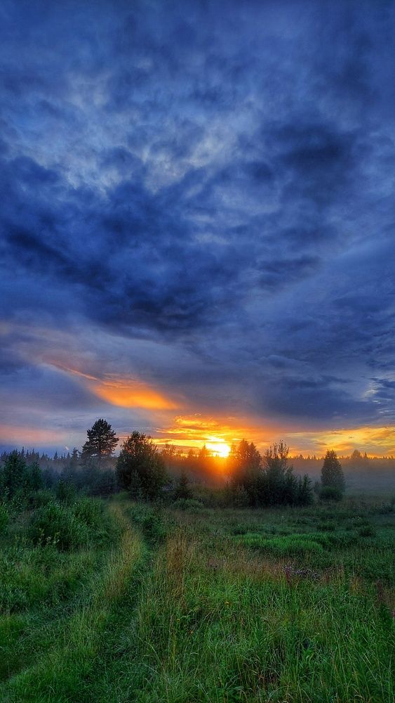 Photograph by Алёна Вороная