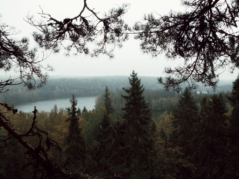 Photograph by Василий Селиванов