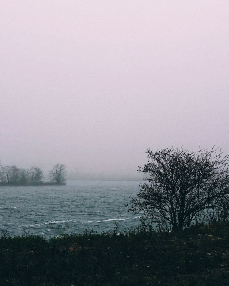 Photograph by Василий Селиванов