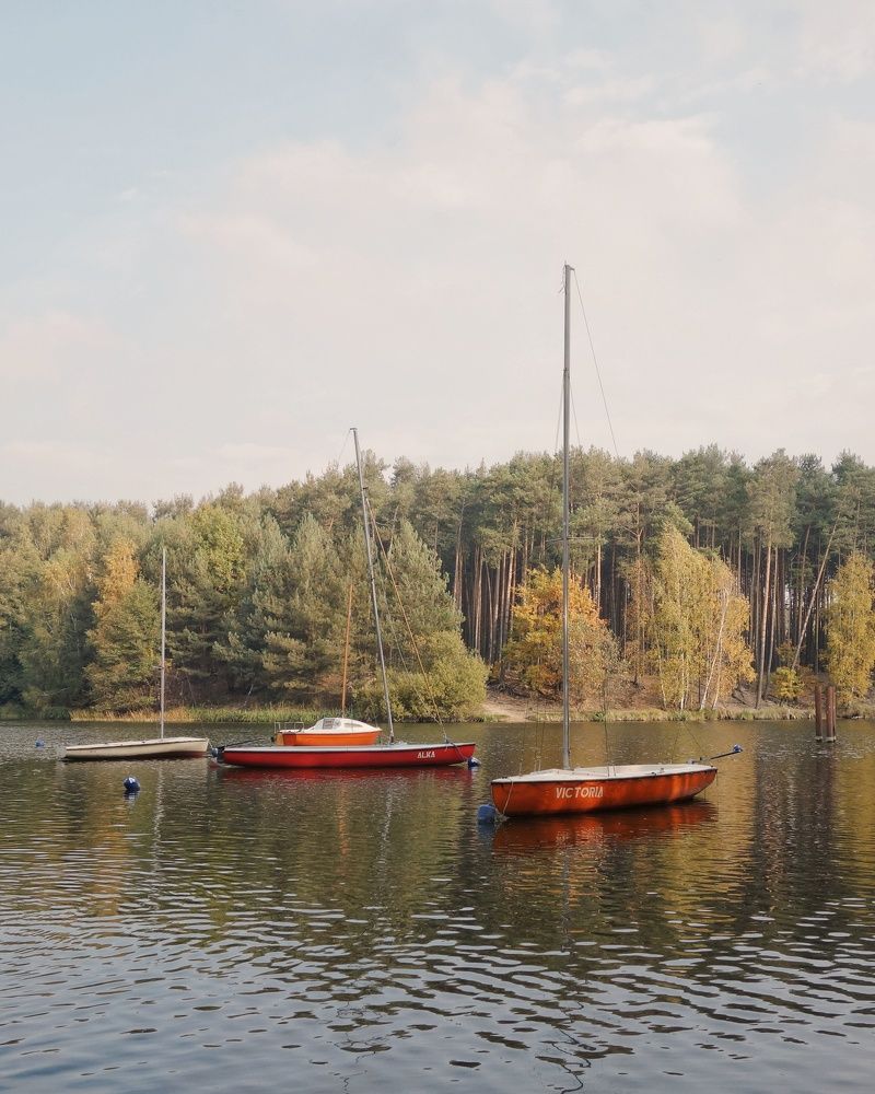 Photograph by Василий Селиванов