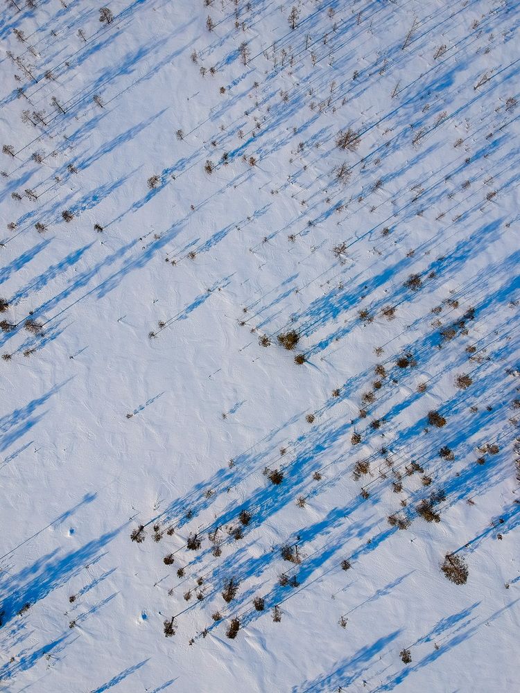 Фотография автора Sergey