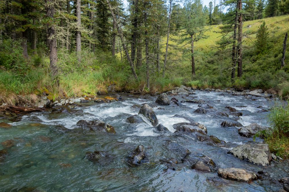 Photograph by Светлана Тараканова