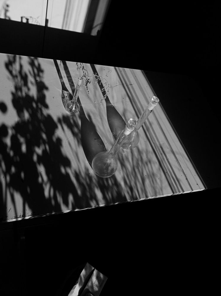 Photograph by Татьяна Овчинникова