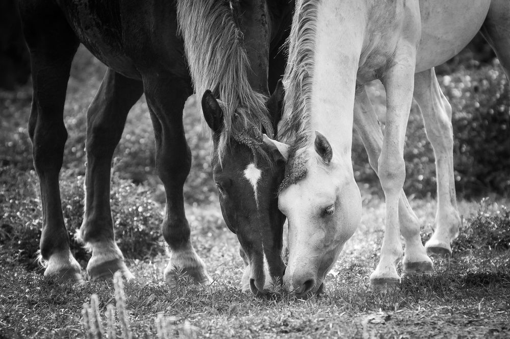 Photograph by Ольга