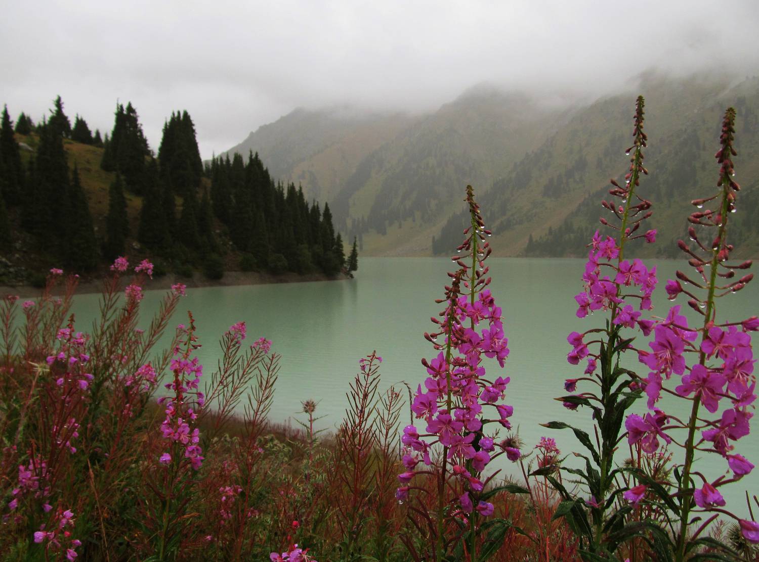 Photo #8467871