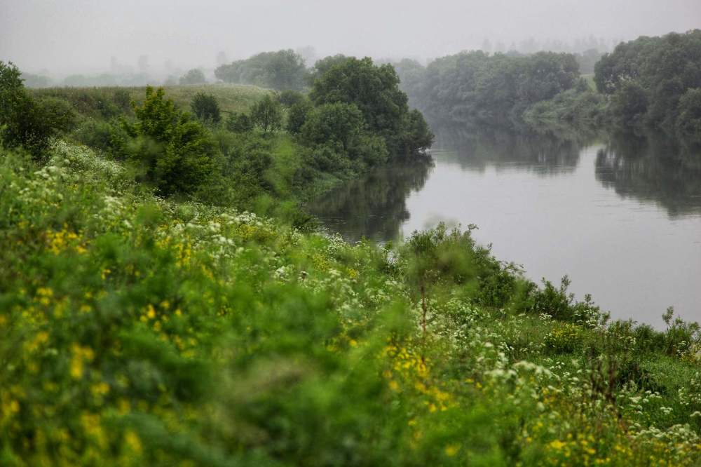 Photograph by Анастасия Самигуллина