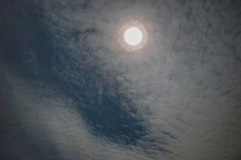 Фотография автора Денис Котренко