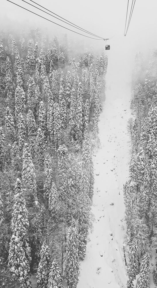 Photo #8467977