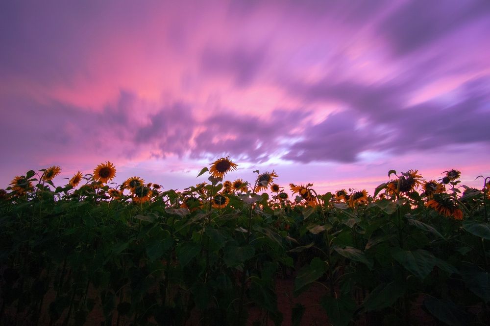 Фотография автора Андрей Врубель