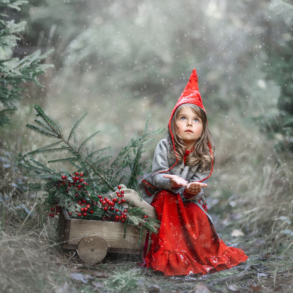 Photograph by Aleksandra Uzdrzychowska