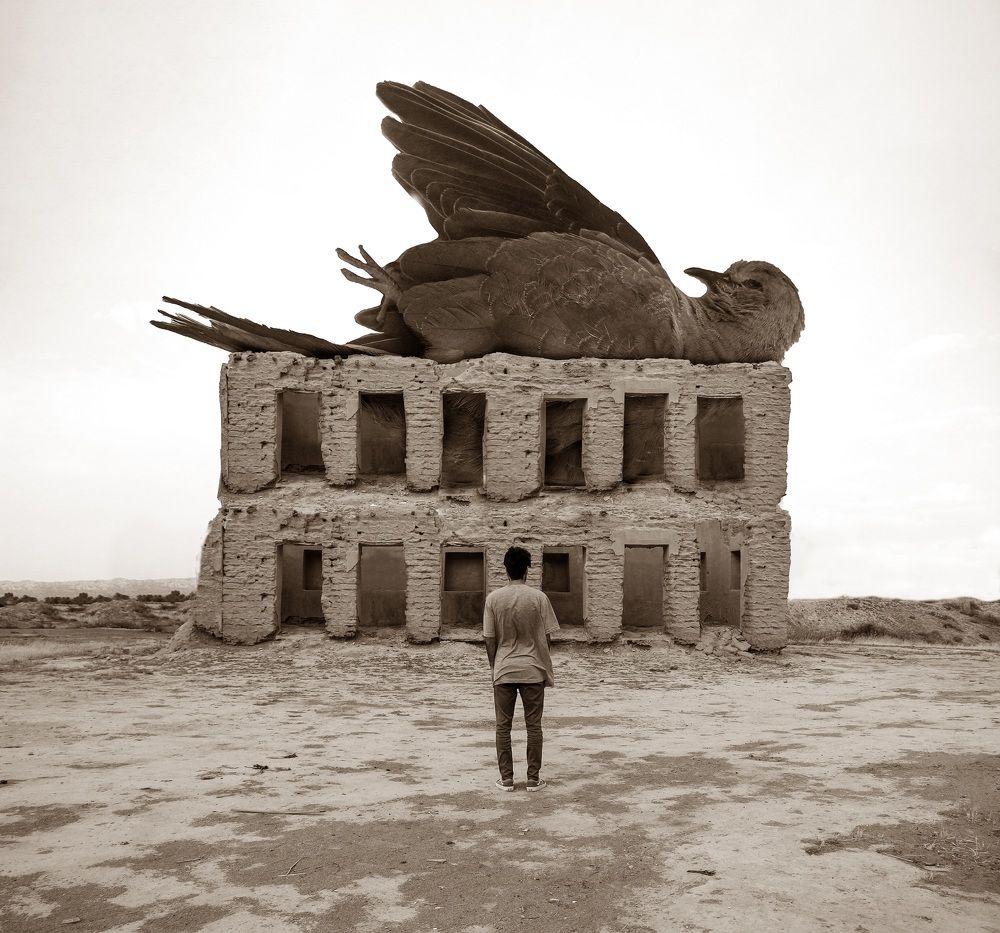 Фотография автора Daniyal Arabzadeh