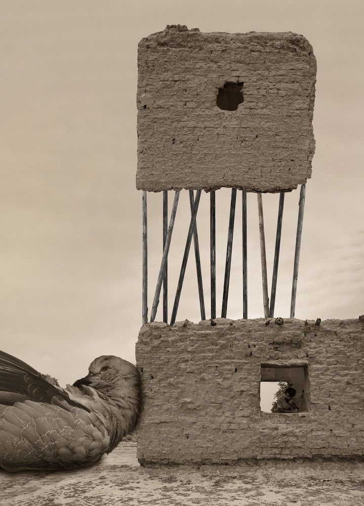 Фотография автора Daniyal Arabzadeh