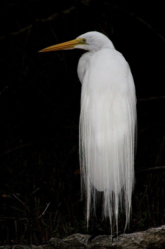 Photograph by luis antonio cruz perez