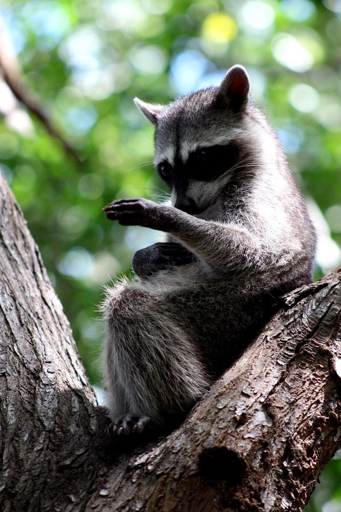 Photograph by luis antonio cruz perez