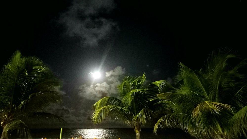 Photo #8468163